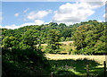 View from New Lipchis Way footpath, Stedham