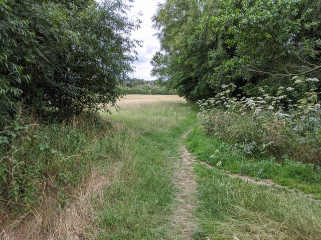 Footpath into field