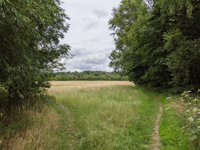 Footpath through field