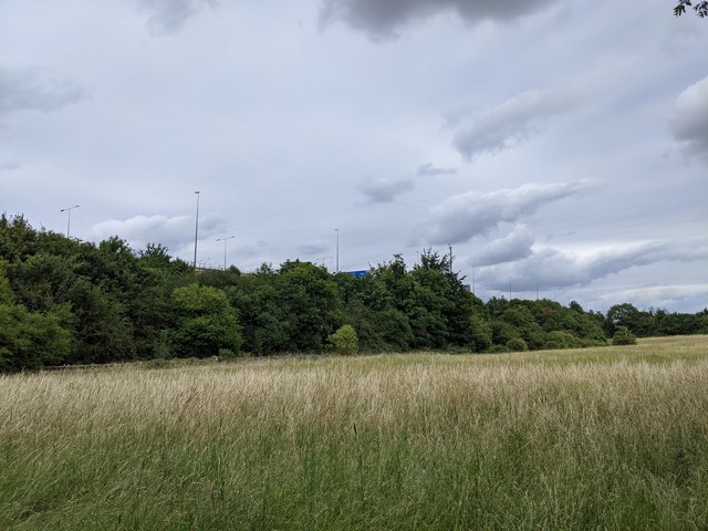 M25 viewed from the Darent Valley Path