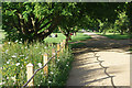 University Parks, Oxford