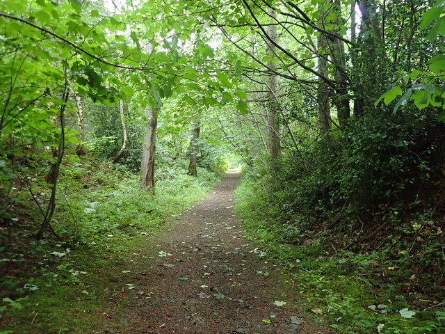 Efail y Rhidyll/Pool Park © Eirian Evans cc-by-sa/2.0 :: Geograph ...