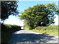 Minor road to Abbotsham Cross