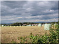 Hay field on the edge of Waterfoot