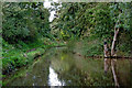 Shropshire Union Canal near Market Drayton