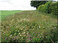 Near High Mowthorpe