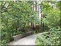 Nant Moel bridge