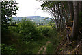 View east from Serpent Trail west of Henley Common