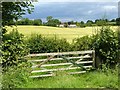 SK6554 : 5-barred gate near Turncroft Farm by Alan Murray-Rust