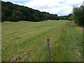 North Worcestershire Path next to Skeys Wood