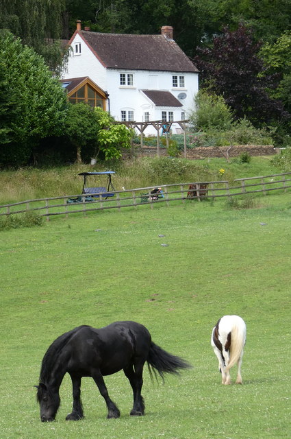 Horses near Hawkbatch Cottage