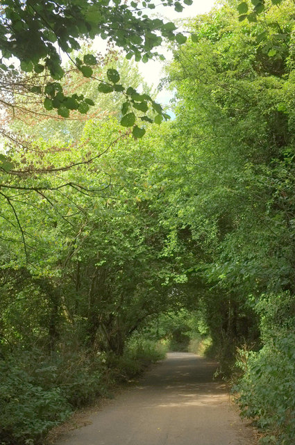 Ludwell Lane #11 © Derek Harper cc-by-sa/2.0 :: Geograph Britain and ...