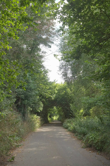 Ludwell Lane #12 © Derek Harper :: Geograph Britain and Ireland