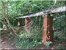 ST4476 : Pipeline below Chaplain's Wood by Neil Owen