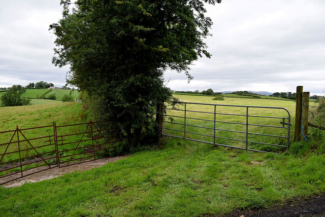 Gates along Laragh Road © Kenneth Allen :: Geograph Ireland