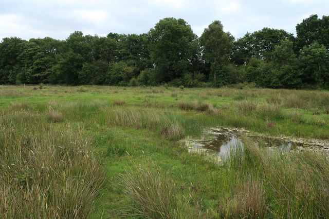 Pond in Tony Hallatt Memorial Reserve © Hugh Venables :: Geograph ...