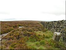 SE1145 : Boundary stone on Ilkley Moor by Stephen Craven