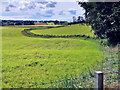 Fields of cut grass near High Coldstream, Strathaven