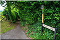 Blagdon : Dark Lane