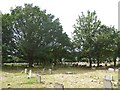 All Saints, Brightlingsea: churchyard (Q)