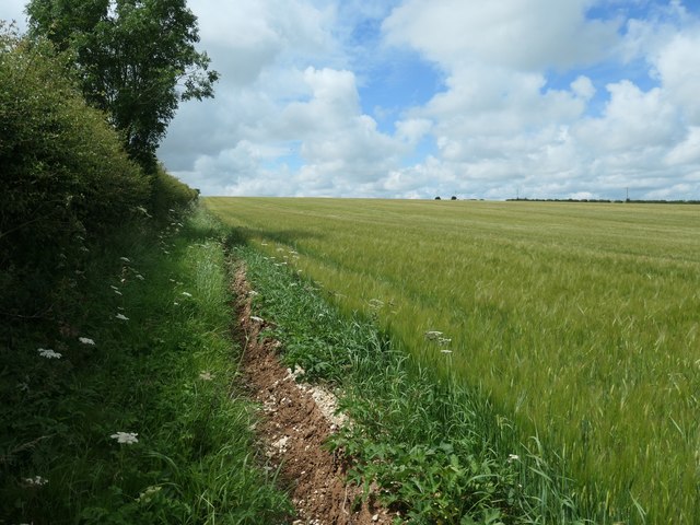Public footpath from Octon to Octon crossroads