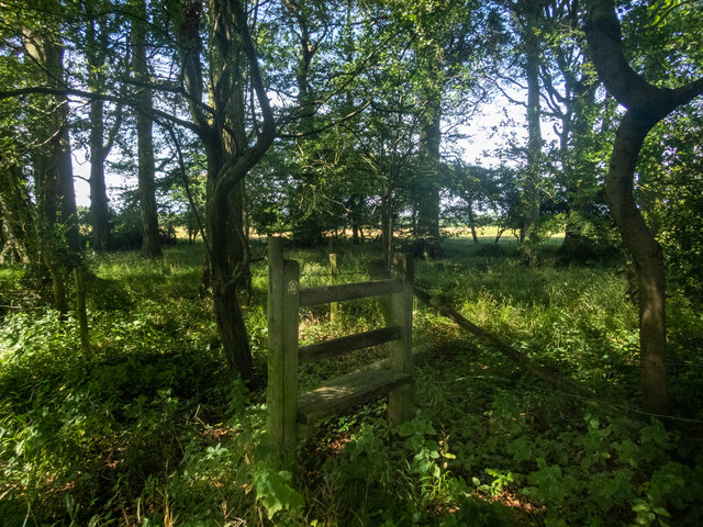 An isolated stretch of dilapidated boundary fence