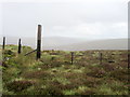 SJ0935 : Moorland fence by John H Darch