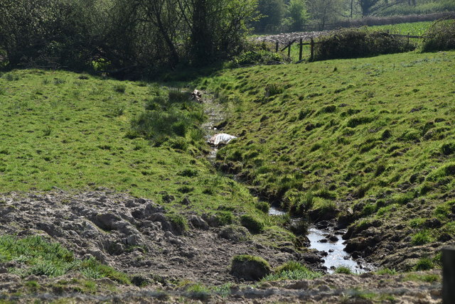 Small stream near Brickhouse Farm