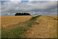 SE5186 : Fields on the Hambleton Hills by Chris Heaton