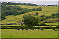 Ubley : Grassy Field & Cattle