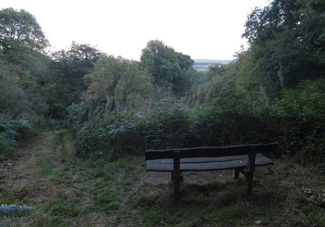 Seat in Wassell Wood