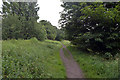 Path following a disused railway line near Lower Wyke Lane, Bailiff Bridge