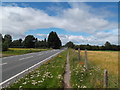 Footpath by the A1079