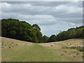 Path through a valley near Wichling