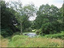 TQ2125 : Pond  with  fountain  in  the  grounds  of  South  Lodge  Hotel by Martin Dawes