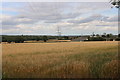 Fields around Steeple View Farm, Laindon