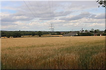 TQ6790 : Fields around Steeple View Farm, Laindon by David Howard