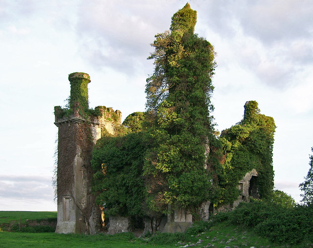 Thomastown Castle, Tipperary (1)