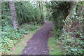 Bridleway through the woods