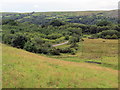 Llethr ger Caehopkin / Hillside near Caehopkin