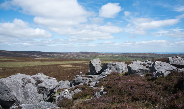 Rocks and heather moorland on north side of Monk's Moor
