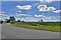 Laxfield, Framlingham Road: Maize crop