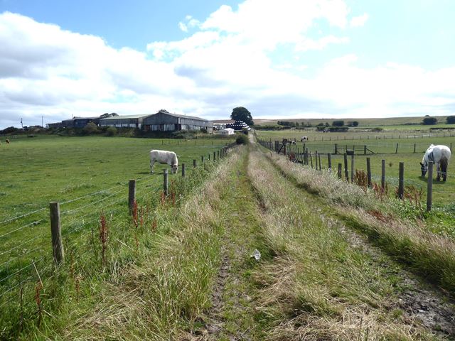 Bridleway to Byermoor Farm