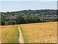 TL2415 : Digswell : Welwyn Railway Viaduct by Jim Osley