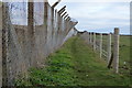 Footpath to Southwell