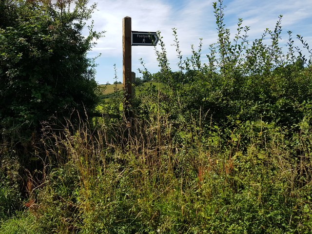 Footpath sign in the hedge, Elmbridge Green