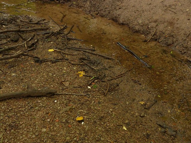 Stream-bed gravel in Westhorpe Dumble