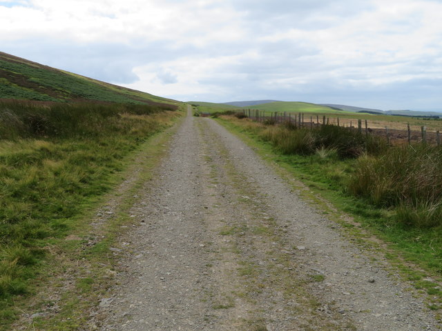 Track into the Lammermuir Hills