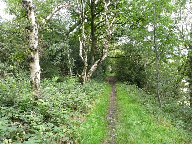 Path on the disused Langsett Reservoir... © Humphrey Bolton cc-by-sa/2. ...