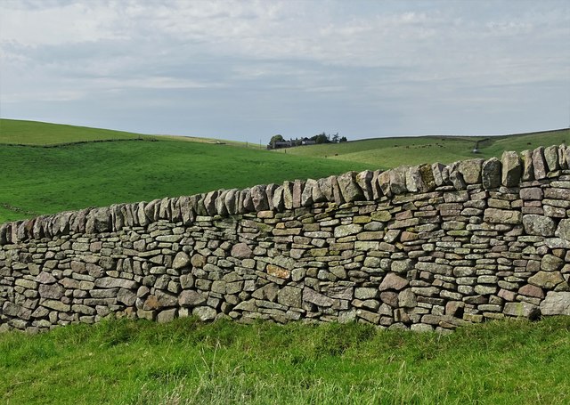 Another fine drystone wall